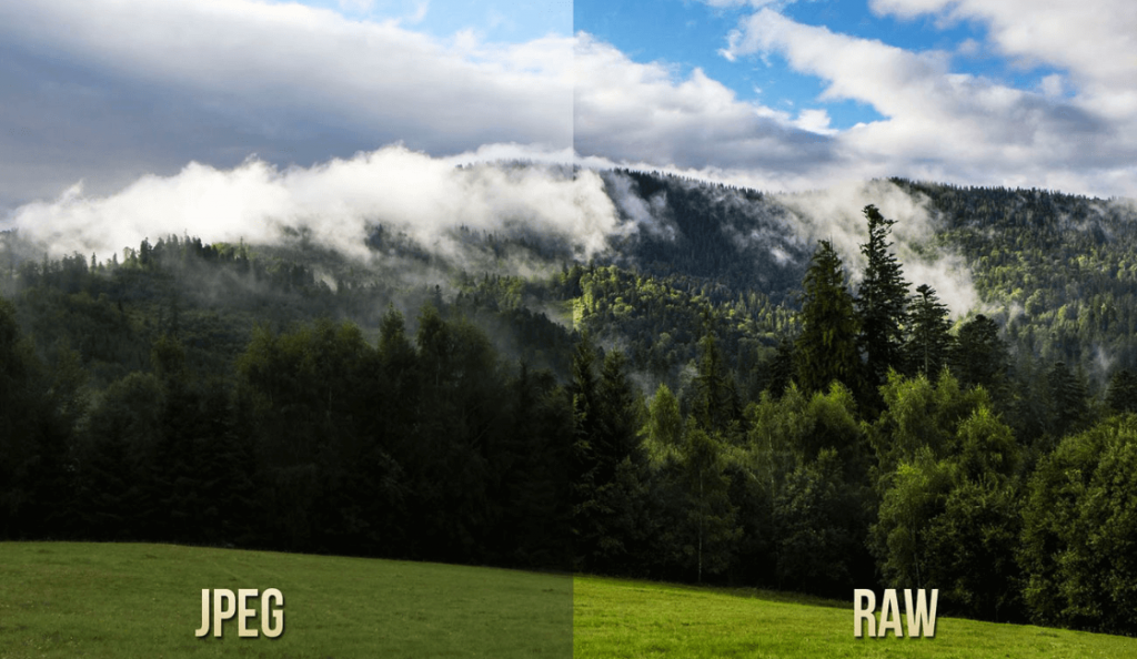 diferencias entre raw y jpeg