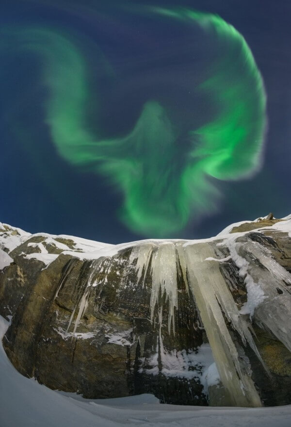 Alas de Aurora
